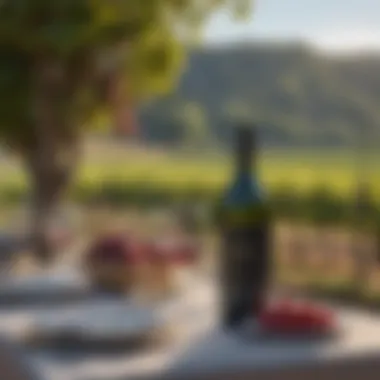 Elegant Vineyard Celebration An elegant vineyard setting for a sophisticated birthday celebration