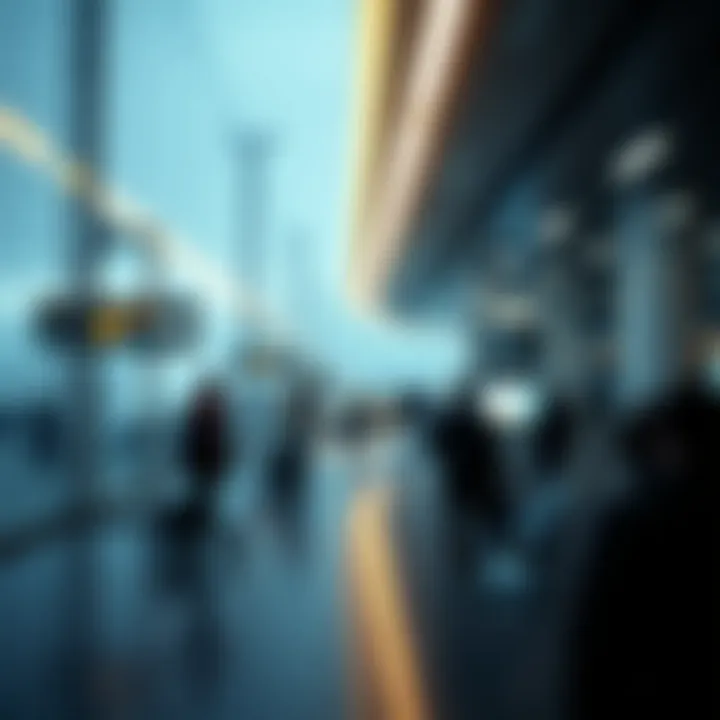 Future Outlook for the Airline Industry Future Outlook for Airlines