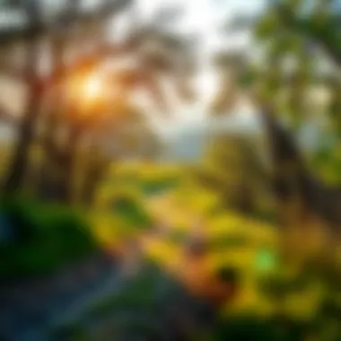 Path to Financial Freedom A serene landscape symbolizing financial freedom