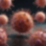 Visualization of oncolytic virus interaction with cancer cells