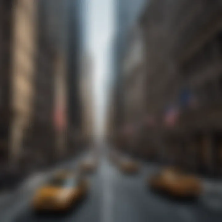 A panoramic view of Wall Street showcasing the financial district.